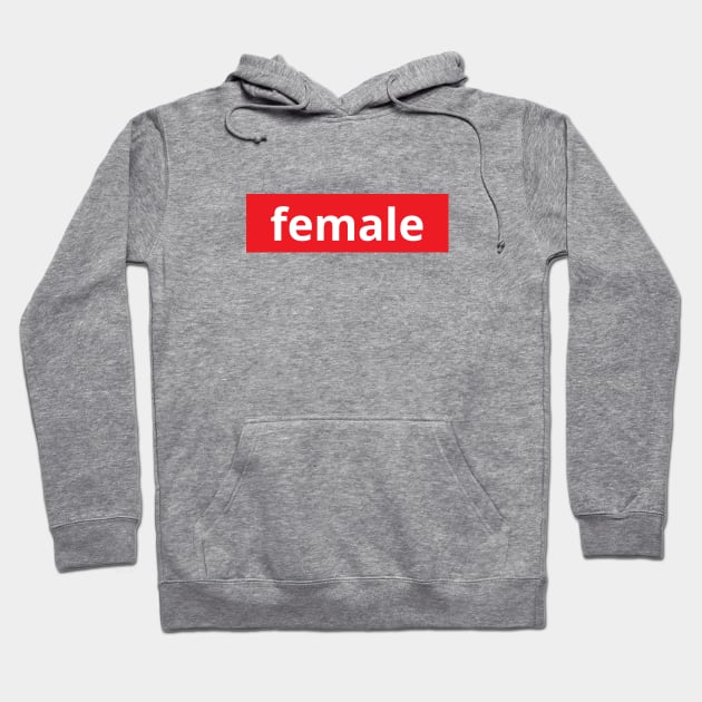 Female, Women Rights, Equality Hoodie by twentysevendstudio